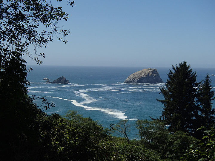 view of rock formation in the ocean between trees on shore